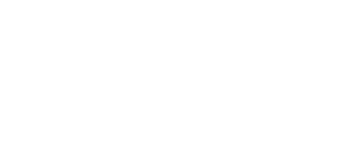vaultree-carousel-logo